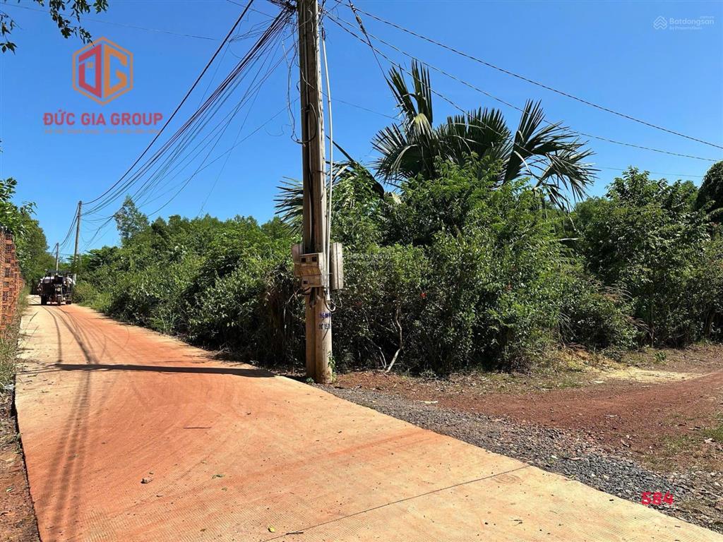 Lô đất rộng để xây nhà vườn, làm homestay hoặc đầu tư lâu dài thì cụm đất này rất đáng để cân nhắc
