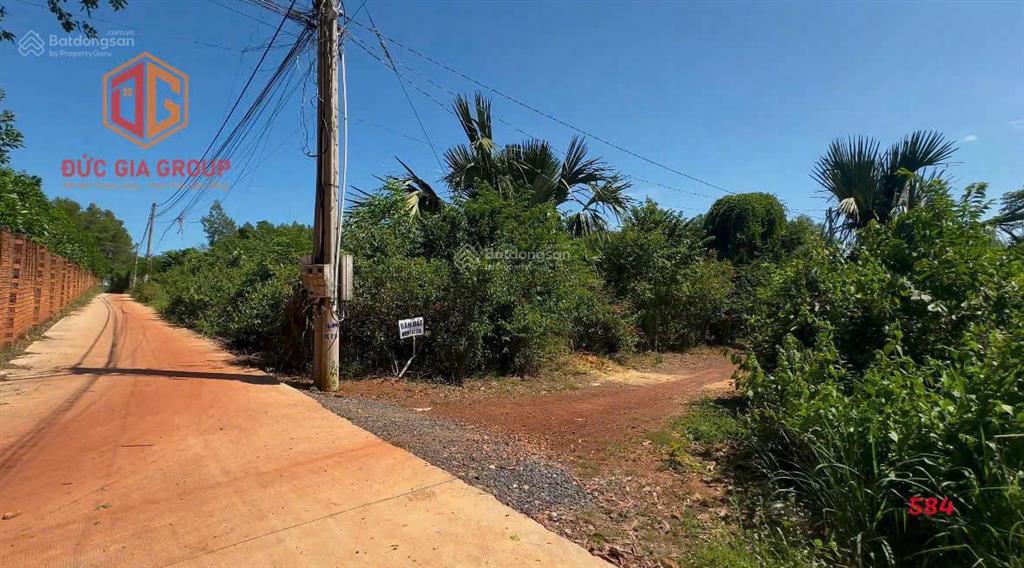 Lô đất rộng để xây nhà vườn, làm homestay hoặc đầu tư lâu dài thì cụm đất này rất đáng để cân nhắc