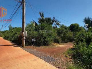 Lô đất rộng để xây nhà vườn, làm homestay hoặc đầu tư lâu dài thì cụm đất này rất đáng để cân nhắc