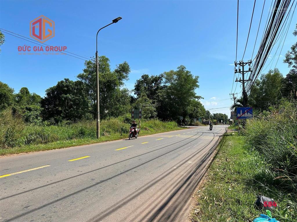 Lô đất rộng để xây nhà vườn, làm homestay hoặc đầu tư lâu dài thì cụm đất này rất đáng để cân nhắc