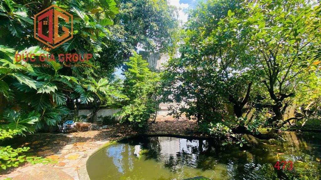 Không gian sống xanh, trước mặt là sông sau lưng tựa núi