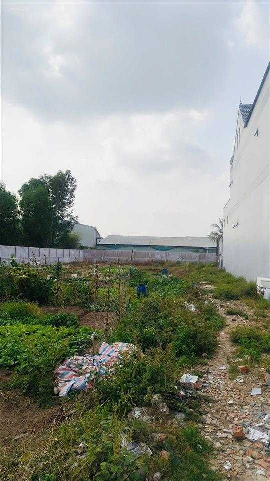 Bán đất đẹp 1.915m² tân phước khánh, thổ cư 300m² phù hợp xây biệt thự, nhà vườn