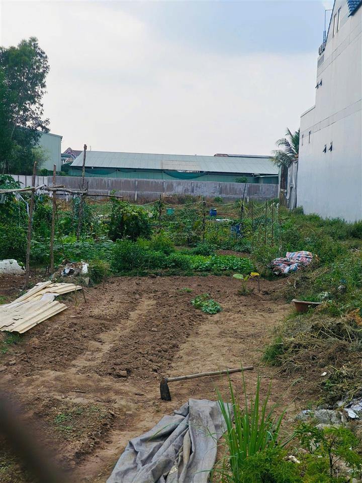 Bán đất đẹp 1.915m² tân phước khánh, thổ cư 300m² phù hợp xây biệt thự, nhà vườn