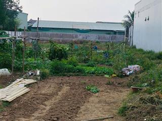 Bán đất đẹp 1.915m² tân phước khánh, thổ cư 300m² phù hợp xây biệt thự, nhà vườn