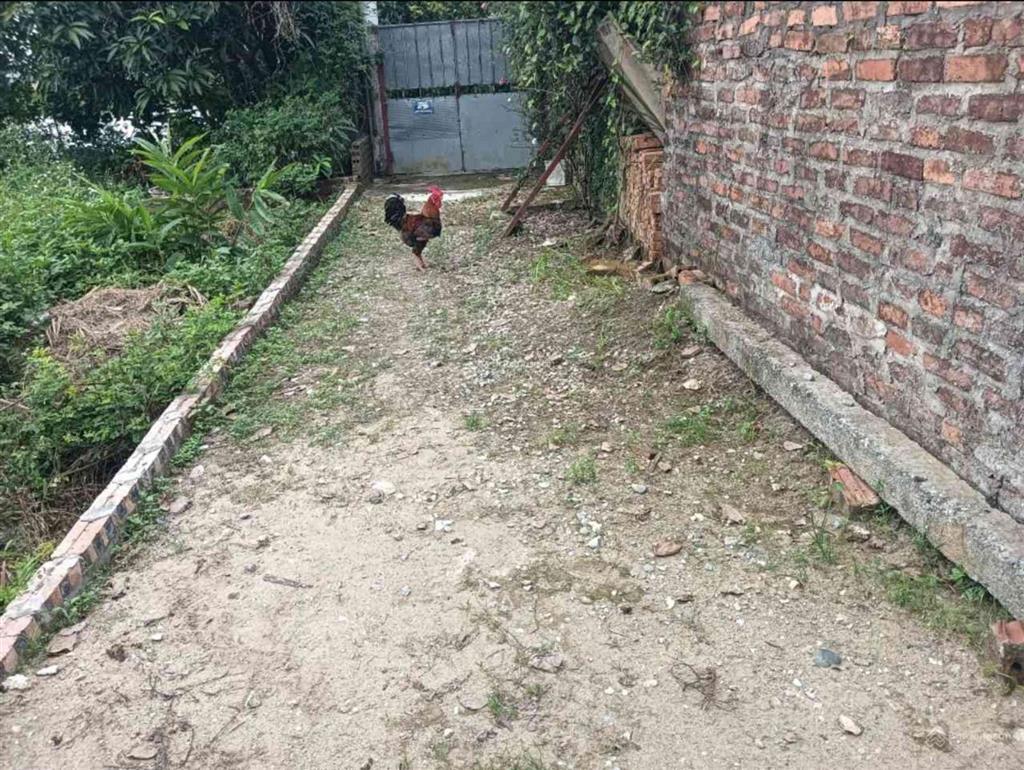 Bán đất 62,3m2 2 thoáng trước sau mt 4m bắc thượng, quang tiến, sóc sơn