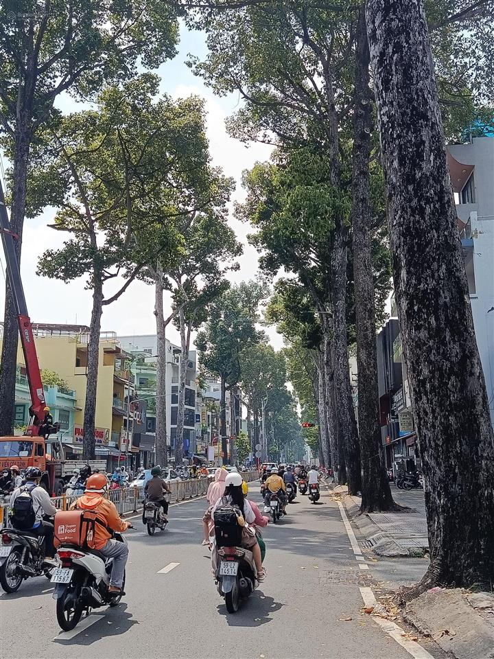 Gấp bán, chỉ 5.2tỷ, 4tầng, ngay nguyễn tri phương giao với đường 3/2, q10, nhà vị trí cực đẹp.