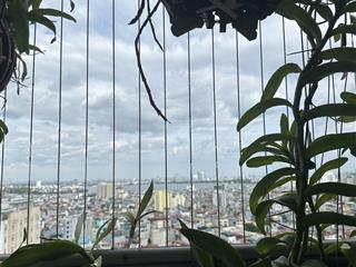 Cần bán căn hộ 2pn dt 88m2 view hồ tây toà ecolife tây hồ
