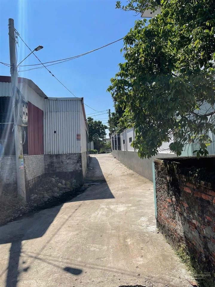 Có hoa hồng  gia đình bán lô 72m2 nở hậu vị trí cách đường lớn 10 bước chân tại đại trang, an lão