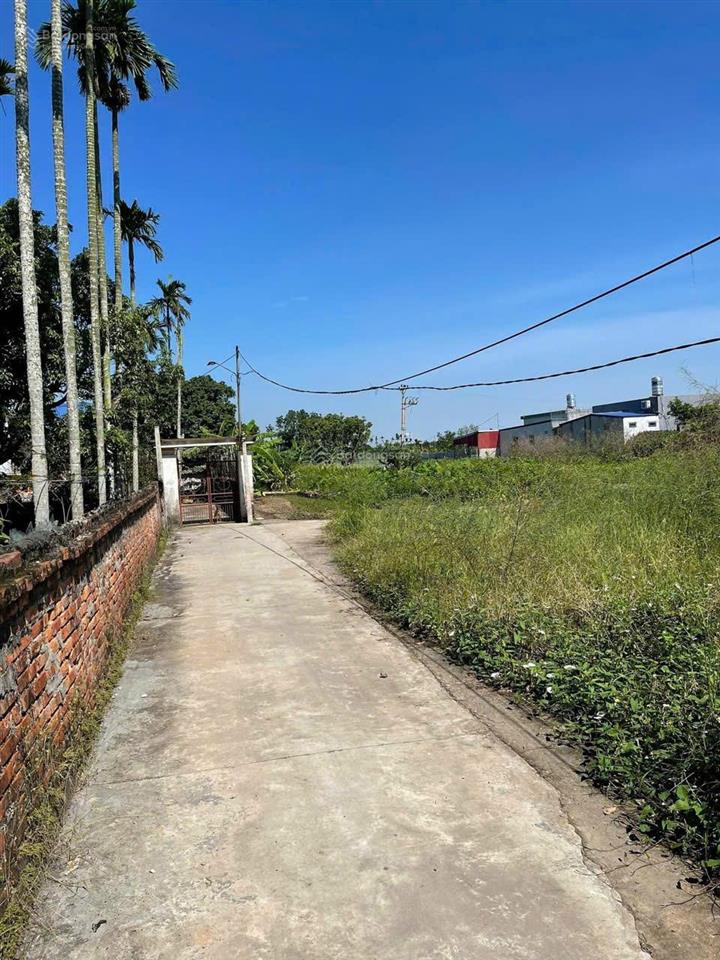 Có hoa hồng  gia đình bán lô 72m2 nở hậu vị trí cách đường lớn 10 bước chân tại đại trang, an lão