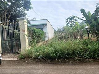 Chủ ngộp cần sang gấp lô đất đường bê tông 244m2 tại xã phước thành, tp hồ chí minh mới