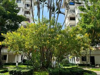 Cho thuê căn hộ hưng vượng 2 , trung tâm phú mỹ hưng