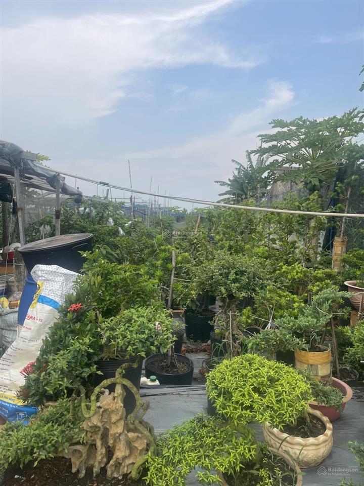 Gần ngã ba giồng  1/ dương công khi  12x61m