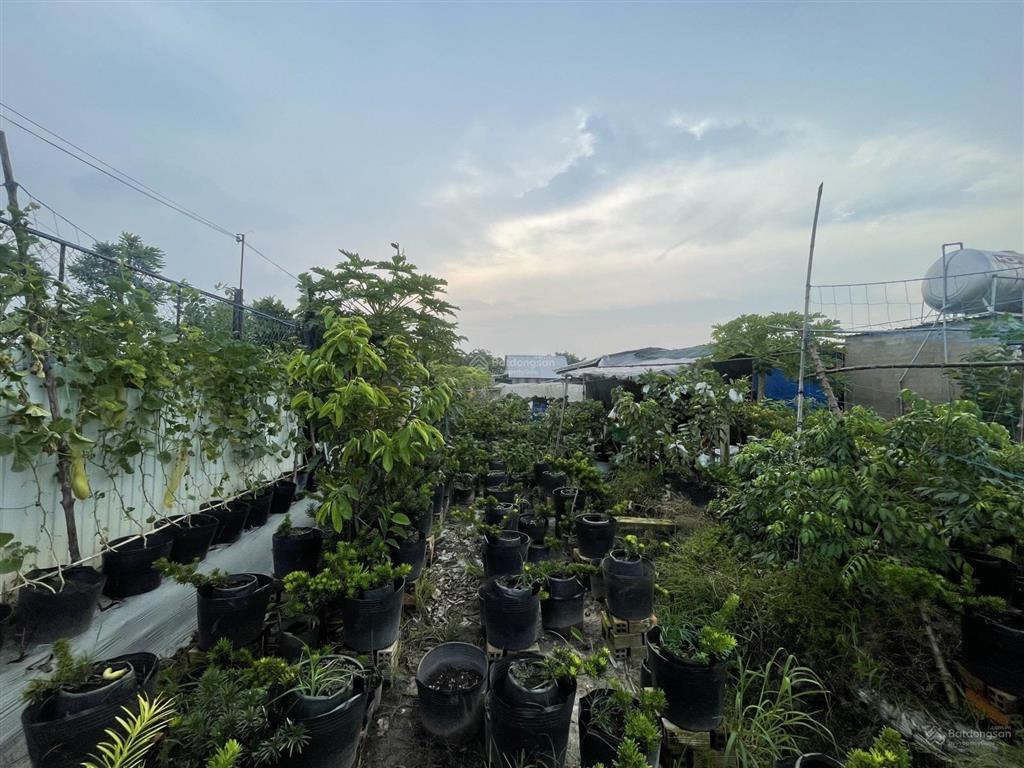 Gần ngã ba giồng  1/ dương công khi  12x61m