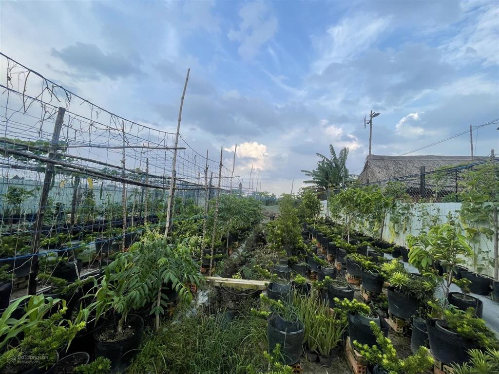 Gần ngã ba giồng  1/ dương công khi  12x61m