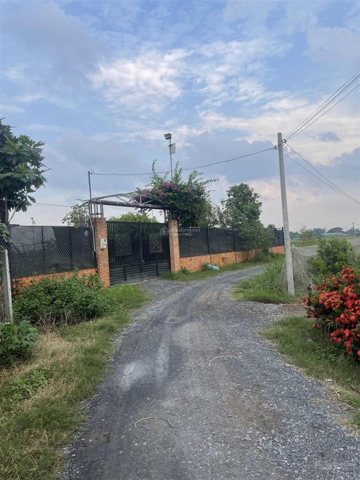 Gần ngã ba giồng  1/ dương công khi  12x61m