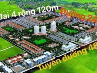 Bán căn chung cư hud central mê linh