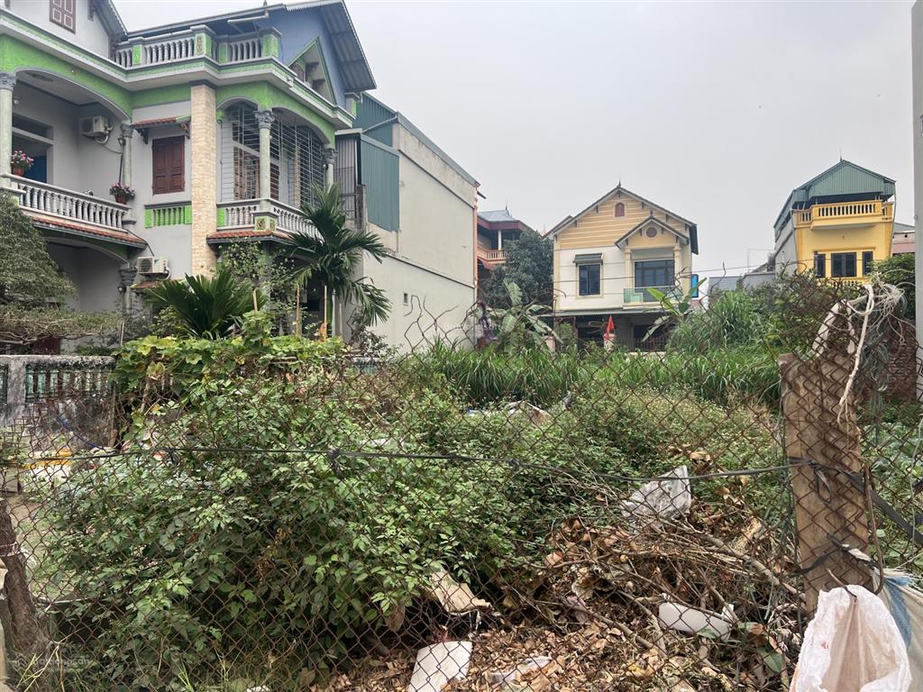 Em trai em cần tiền cho con đi du học nước ngoài muốn bán gấp lô đất phù trì quang minh giá 3tỷ