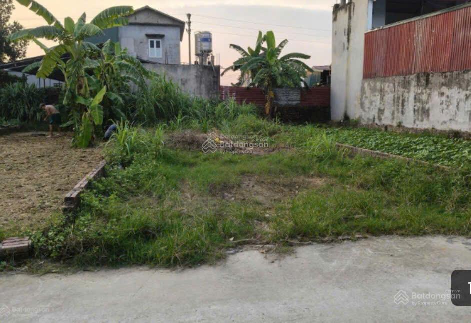 ...sos... chính chủ bán lô đất 94.7 m2 sau chợ thanh trí, minh phú, sóc sơn (băng 2 chợ thanh trí)