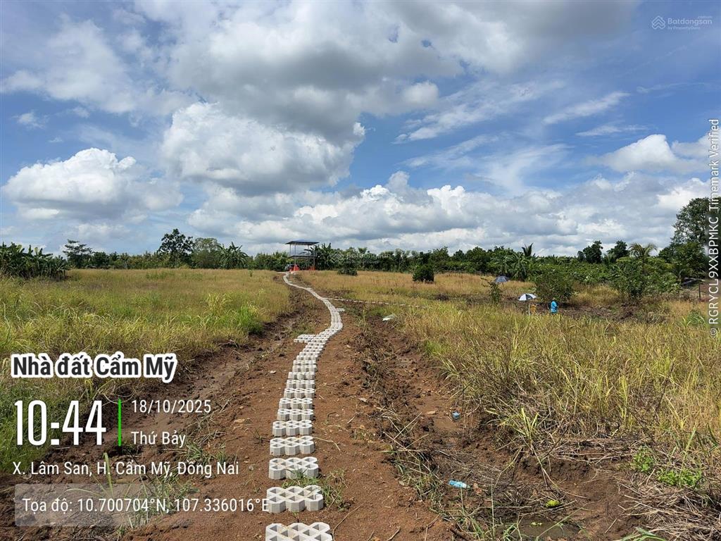 Bán 6.916m2 view hồ sông ray, khu nghỉ dưỡng tại xã lâm san, cẩm mỹ, đồng nai