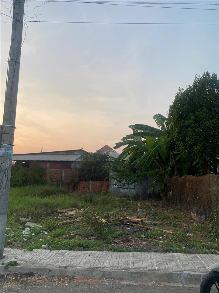 Cần bán 2 lô mặt tiền đường nhựa phường 2 , thị xã gò công đông , tiền giang ( đồng tháp mới)