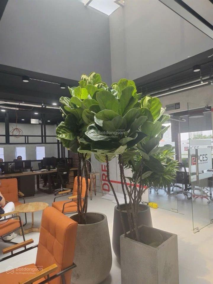 Tphcm toà nhà văn phòng góc 3 mặt tiền  gần cảng cát lái  28x20m  122 tỷ