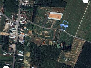 Bán đất tại đường dh715, xã định an, dầu tiếng, bình dương, giá thỏa thuận, 250m2