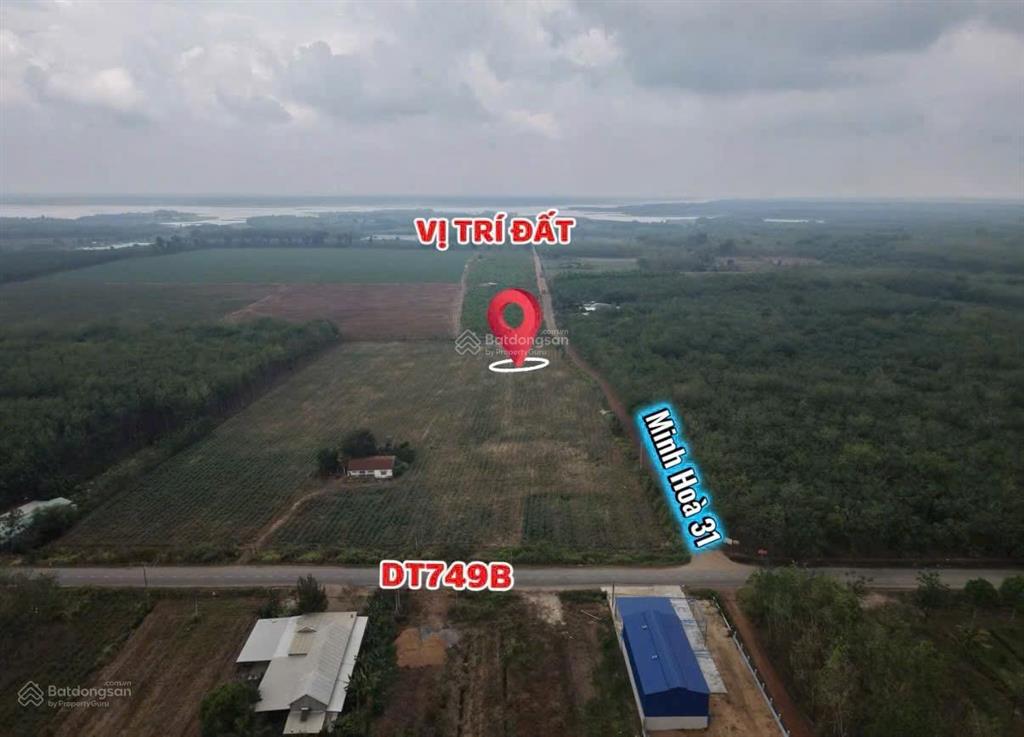 Bán đất 1000m2, giá 700 triệu tại nhánh đường 749b, minh thạnh, huyện dầu tiếng, bình dương
