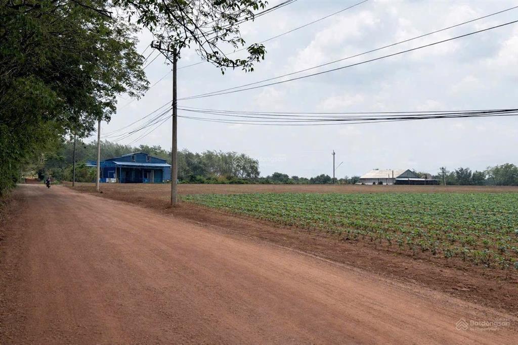 Bán đất 1000m2, giá 700 triệu tại nhánh đường 749b, minh thạnh, huyện dầu tiếng, bình dương