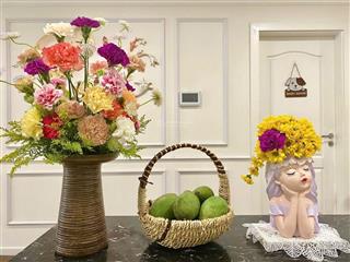 Chính chủ bán căn 1 ngủ feliz homes  sổ hồng view hồ đẹp nhất dự án  4,7ty