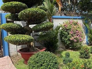 Bán biệt thự xã thái mỹ, củ chi