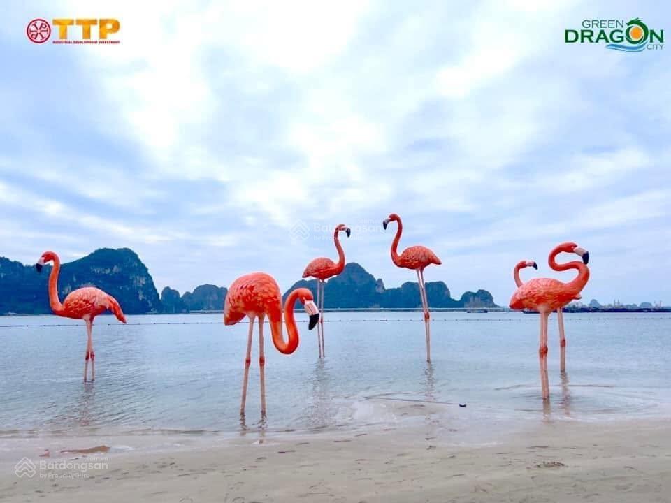 Bán shophouse siêu tiềm năng tại green dragon city, quảng ninh