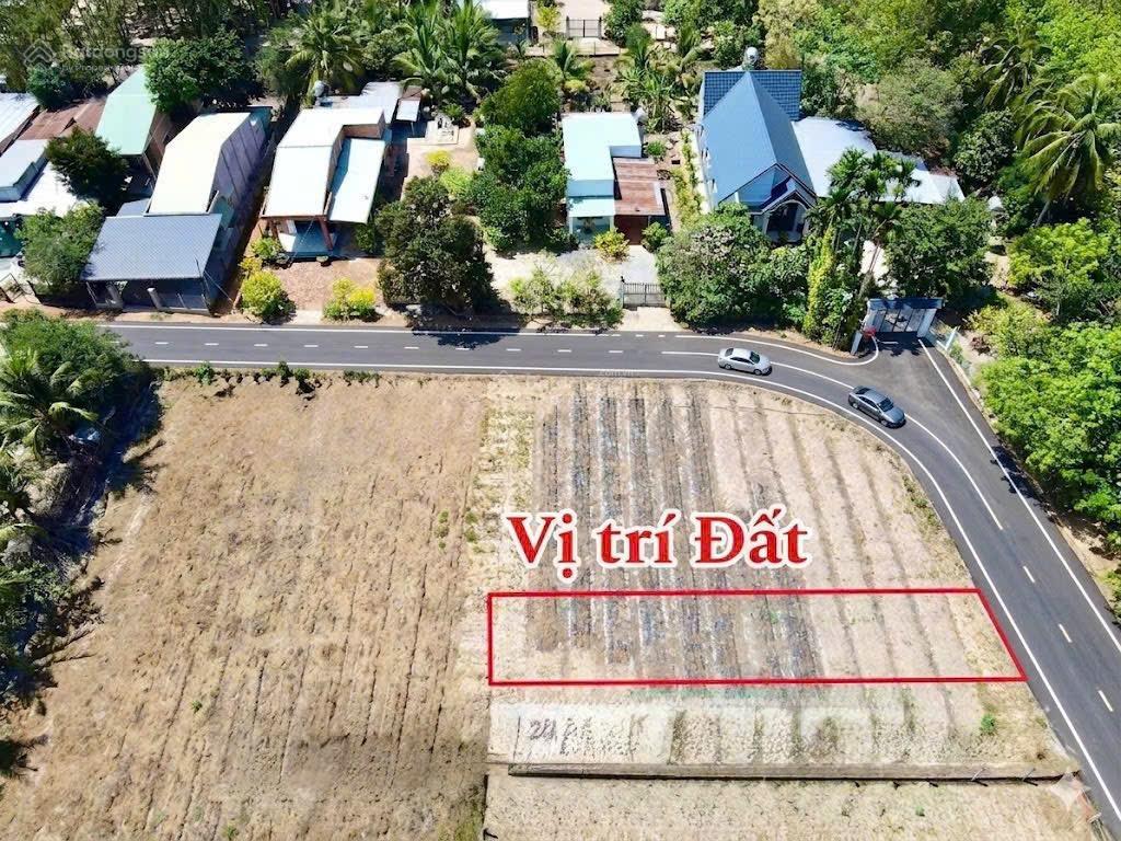 Tôi cần bán gấp đất thổ 163m2 giá ngộp 520tr ngay tt trảng bàng