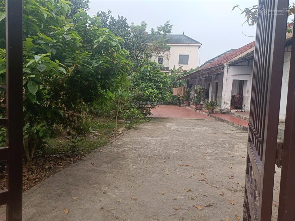 Hiếm! 300m đất hướng đạo  tam dương | mt 6m  giá hời