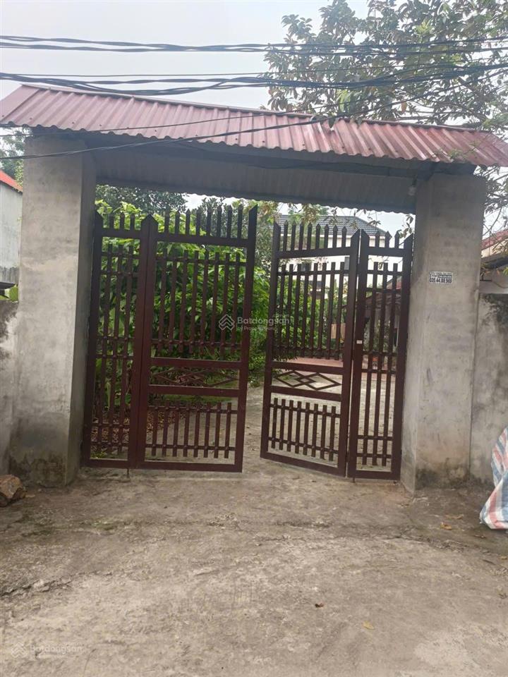 Hiếm! 300m đất hướng đạo  tam dương | mt 6m  giá hời