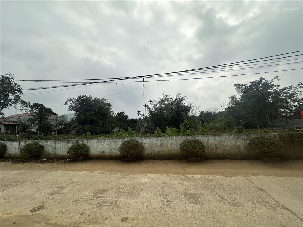 Ngân hàng phát mại tài sản thái bình  cẩm tú cẩm thủy thanh hóa