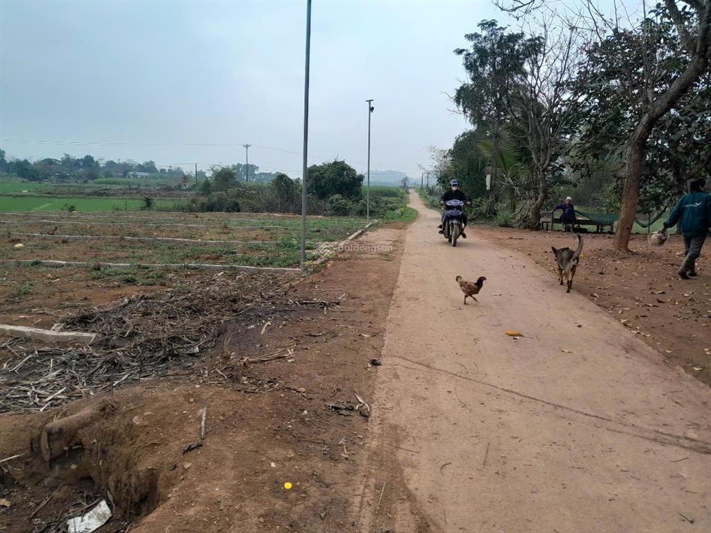 Ngân hàng phát mại 2040m đất thạch thành thanh hóa