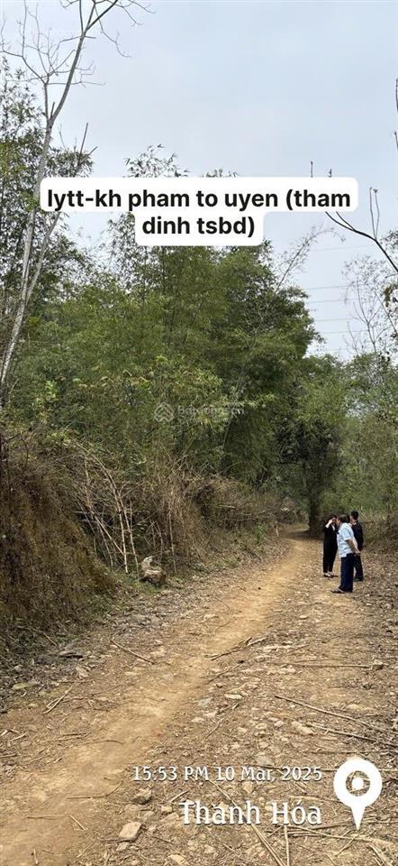 Ngân hàng phát mại 2 tài sản thôn phân khánh cẩm thạch thanh hóa