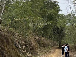 Ngân hàng phát mại 2 tài sản thôn phân khánh cẩm thạch thanh hóa