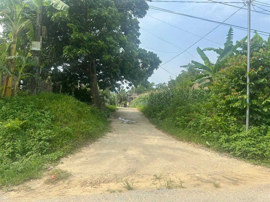Ngân hàng phát mại 1385m đất thôn kim mẫn  cẩm lương  cẩm thủy