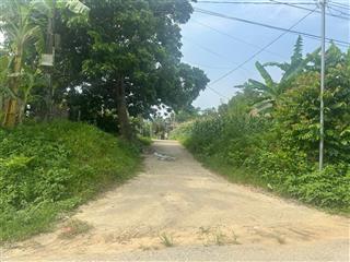 Ngân hàng phát mại 1385m đất thôn kim mẫn  cẩm lương  cẩm thủy