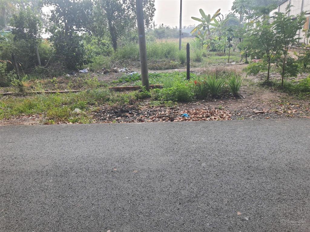 Bán đất chính chủ 297 bàu lách, ấp 4, phạm văn cội, củ chi