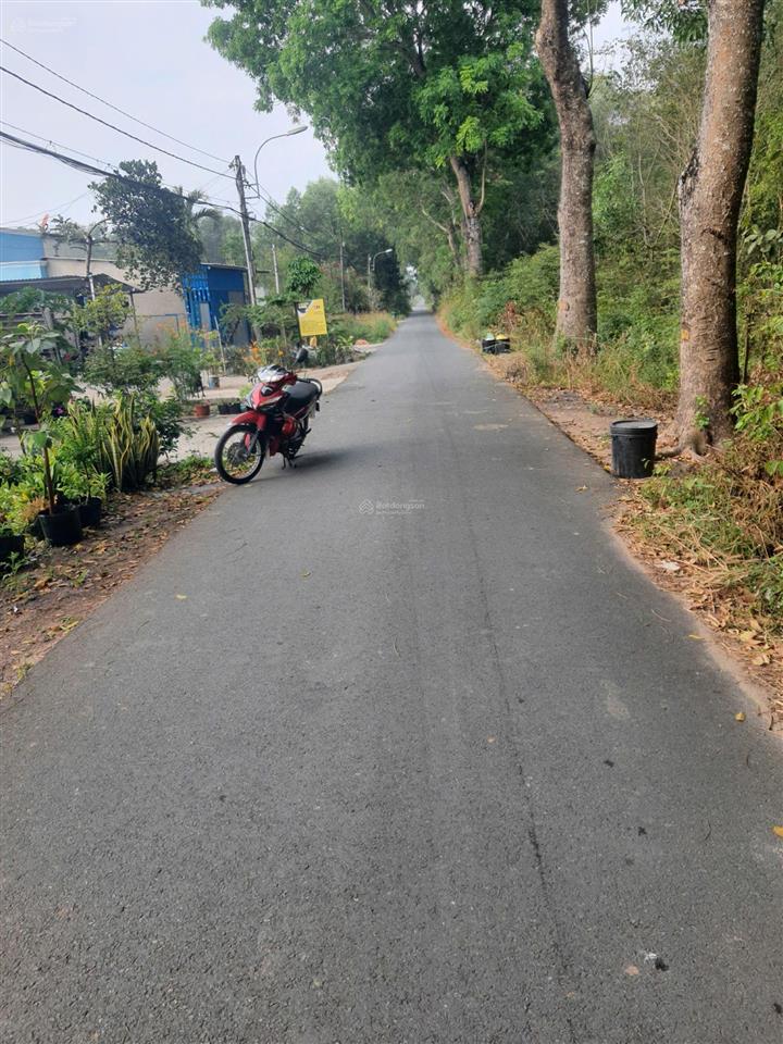 Bán đất chính chủ 297 bàu lách, ấp 4, phạm văn cội, củ chi