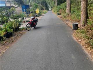 Bán đất chính chủ 297 bàu lách, ấp 4, phạm văn cội, củ chi