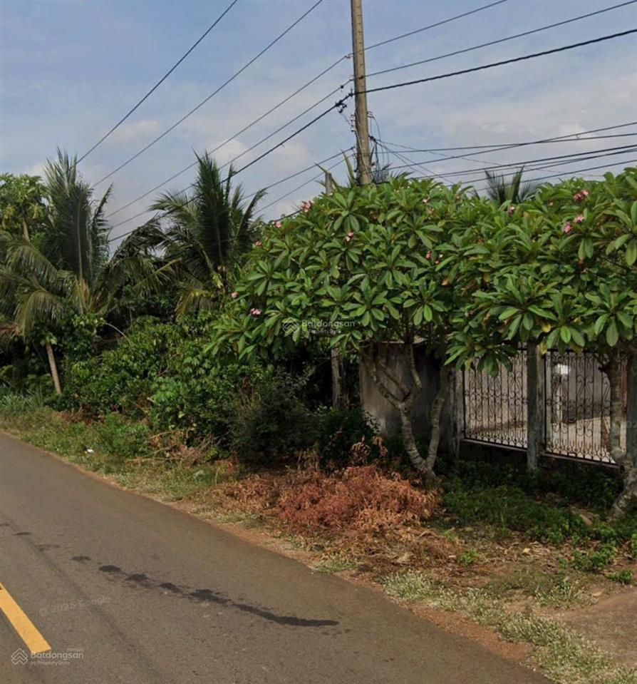 Chính chủ cần bán đất nhà vườn giáp quy hoạch sẵn 300m thổ cư tại châu đức, bà rịa vũng tàu