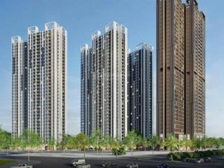 lai-suat-dong-loat-giam-mua-ngay-chung-cu-dt-44m2--gia-7x-trm2--mat-duong-35-bds30321409