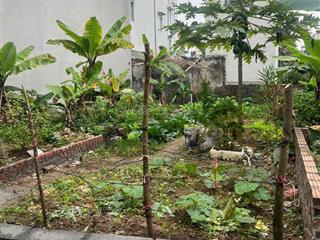 Bán đất đông anh  võng la, đại độ, 60,9m², gần cầu thăng long