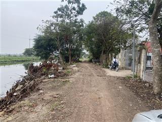 Bán 184 đất nông nghiệp đã cải tạo sẵn khuôn viên nhà cửa cây cối tại xã quảng bị chương mỹ hà nội