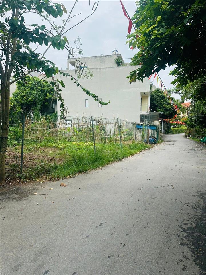 Mảnh đất hiếm đông mỹ  oto 7 chỗ vào đất