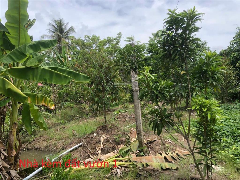 Bán nhà và đất vườn 2002m² có 2 mặt tiền đường nhựa xe tải, ngang 25m