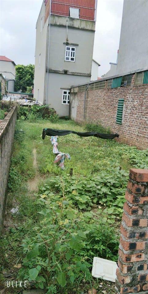 Đất phố cầu diễn  phân lô  ngõ container tránh  93m2 24 tỷ. đất sinh dòng tiền